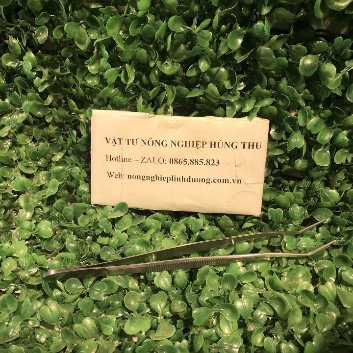 [ GIÁ SỈ ] Nhíp gắp sên và côn trùng dài 20cm