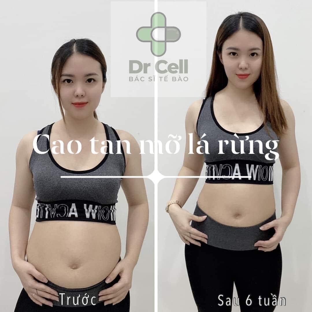 Cao Tan mỡ lá rừng