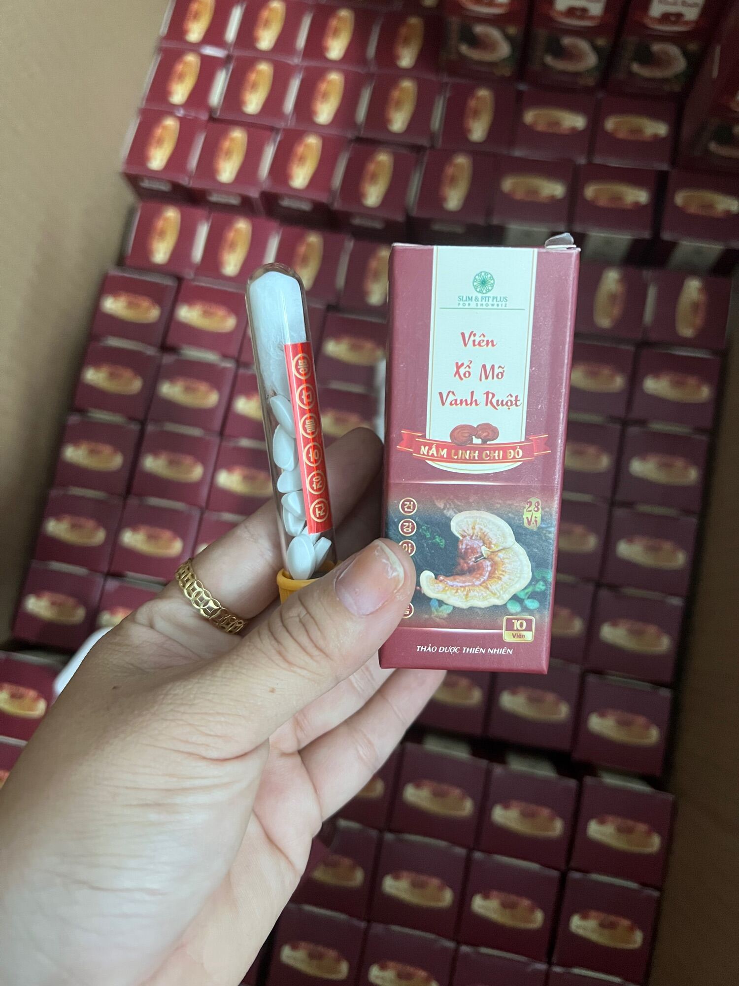 Viên Xổ Mỡ Vành Ruột – linh chi đỏ