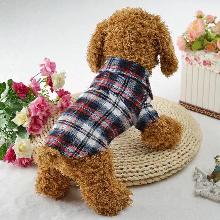 [HCM]Áo sơ mi sọc ca rô cho thú cưng
