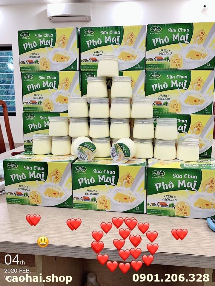 (Tp.Hồ Chí Minh) ❤❤️❤SỮA CHUA PHOMAI SIÊU NGON ❤❤️❤