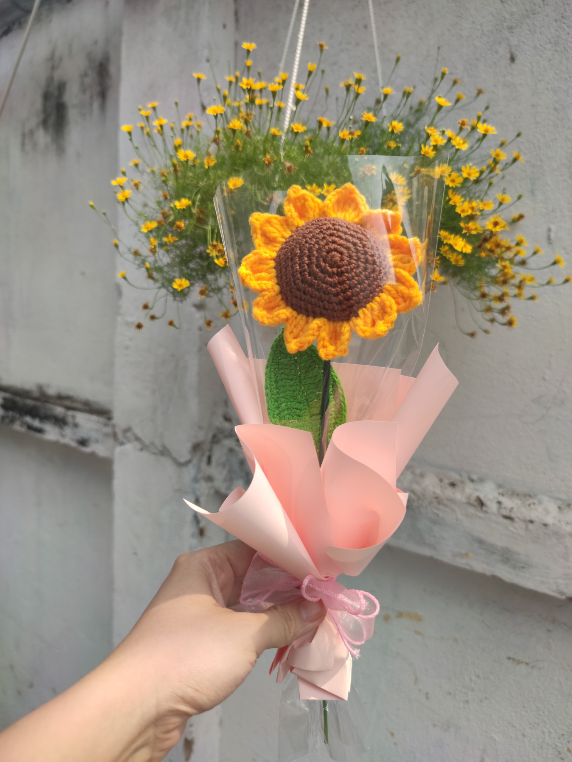 Hoa len bé heo tốt nghiệp (Ảnh Thật)
