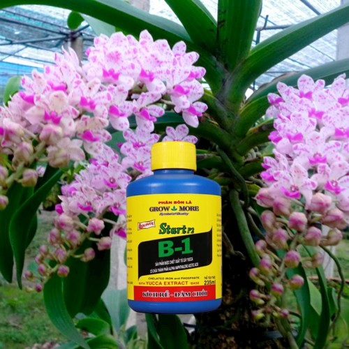 Phân bón lá vitamin B1 Grow more dùng cho hoa lan