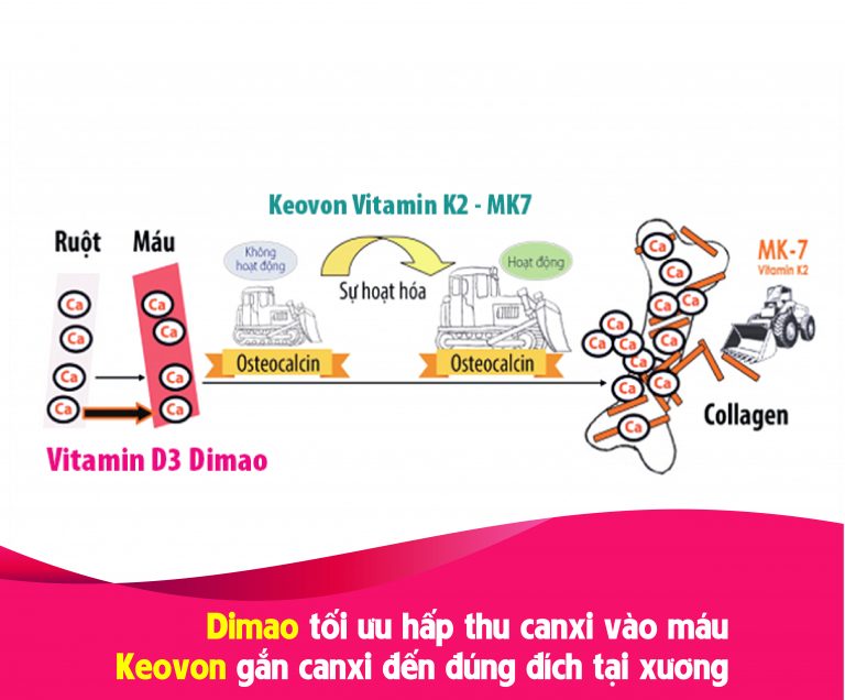 [HCM]Vitamin D3 - DIMAO nhập khẩu Châu Âu