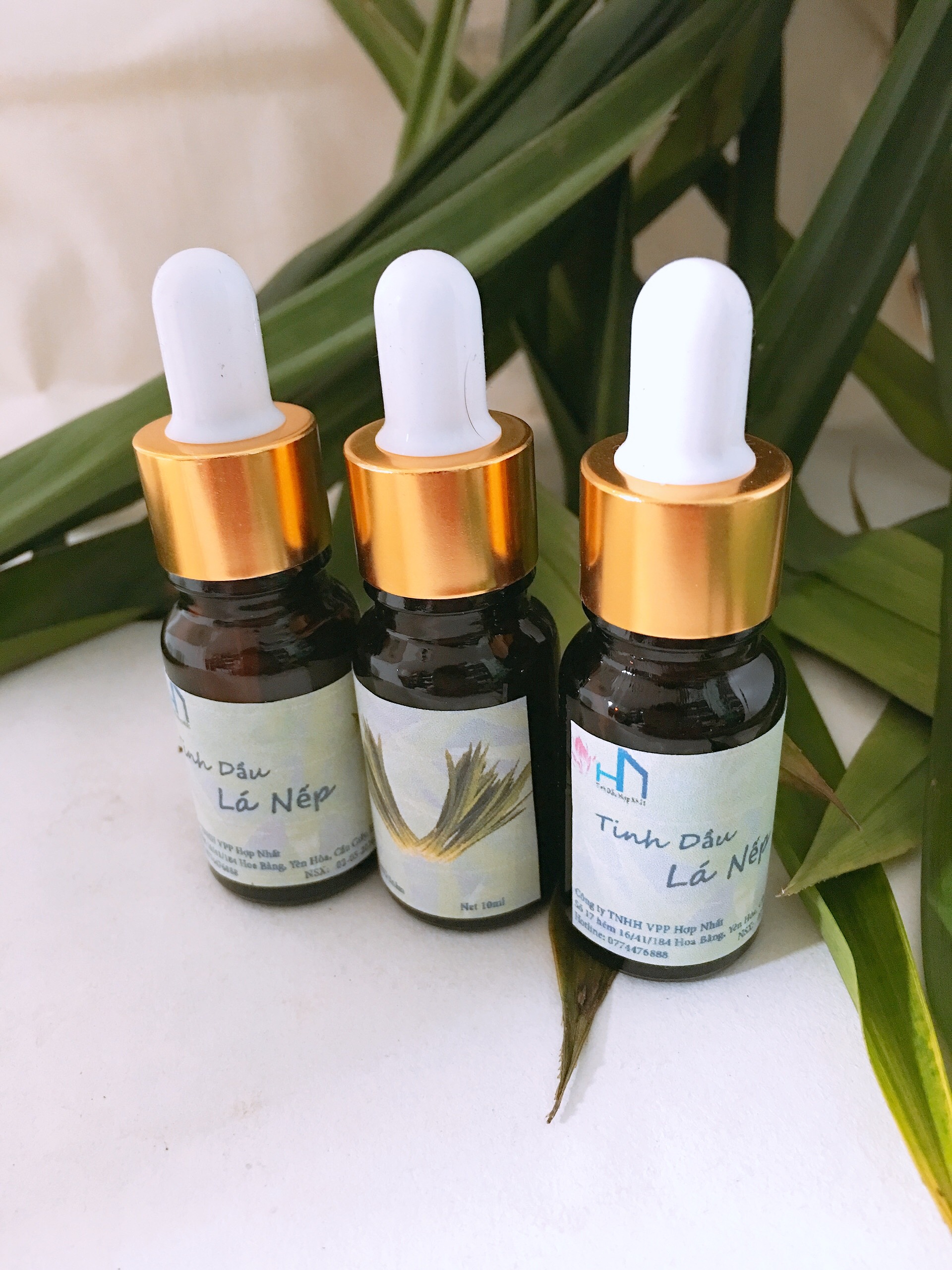 Tinh dầu Lá Nếp thơm lọ 10ml