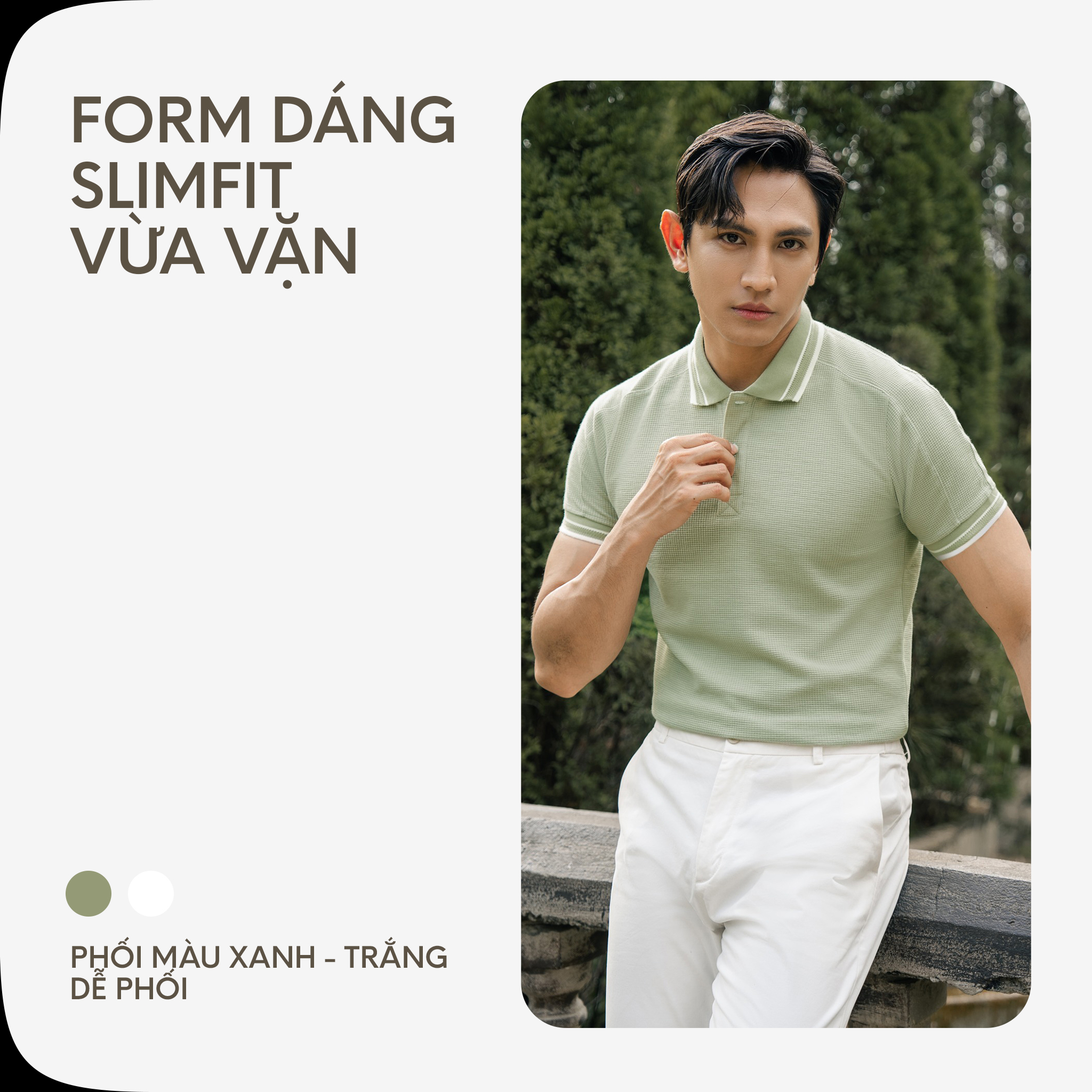 Áo Thun Nam Cao Cấp Hive Polo Multi Color By Cotton