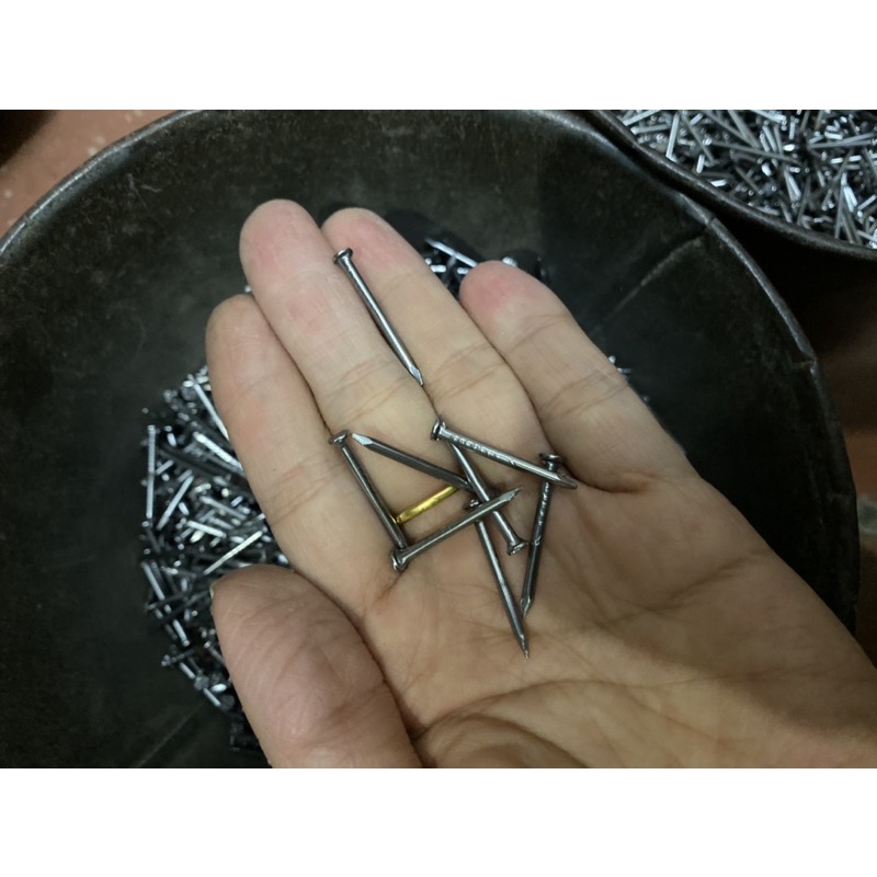 Đinh sắt đóng gỗ 2F (100g)