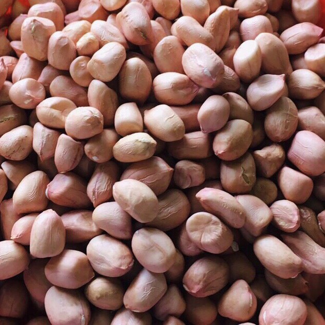 Đậu phộng nhân ÔNG THẮNG – 500G