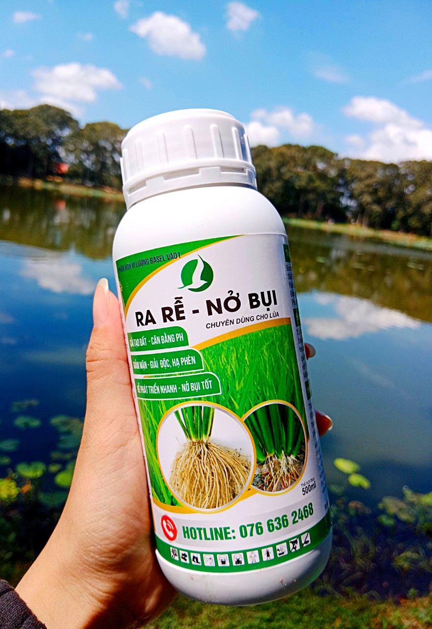 ra rễ nở bụi lúa (chai 500ml) - nở bụi nhanh, mướt lá