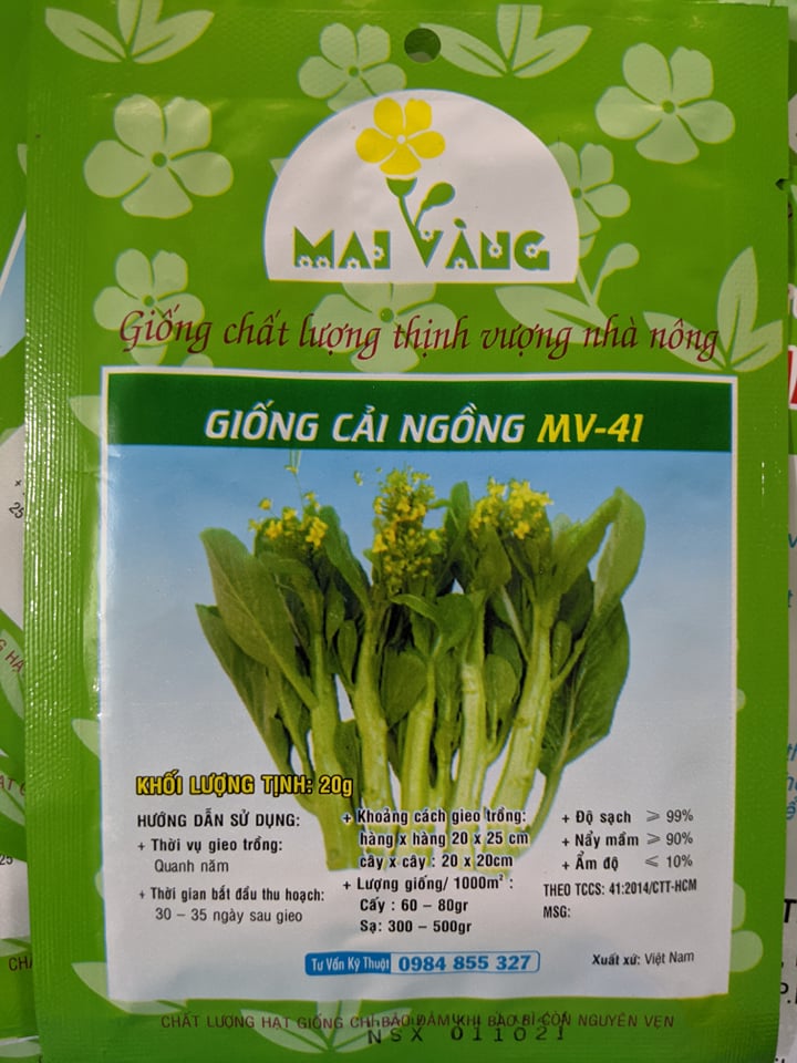 Hạt giống Rau Cải Ngồng 20g