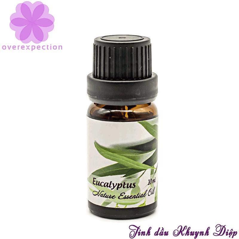 Tinh dầu khuynh diệp - Eucalyptus Essential Oil
