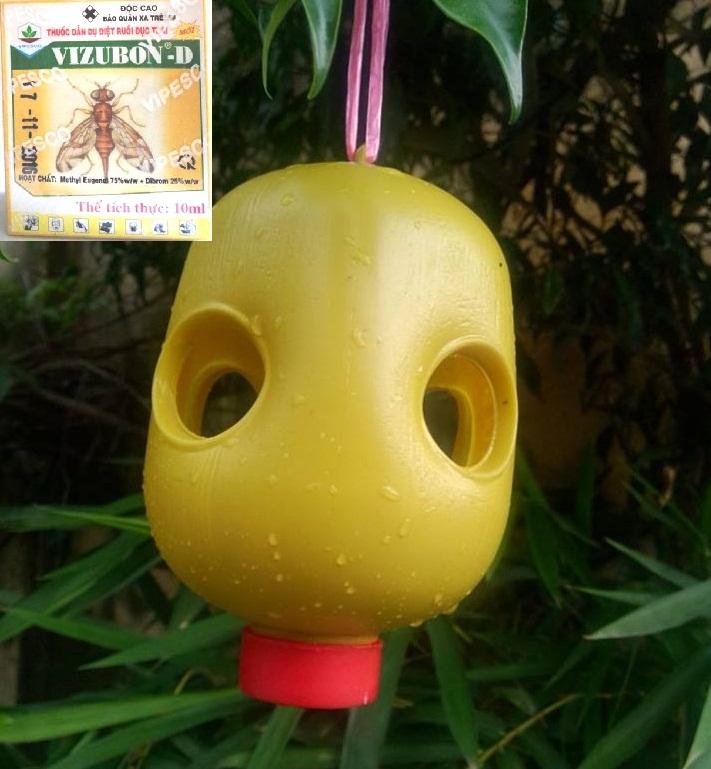 Combo thuốc dẫn dụ ruồi vàng đục trái Vizubon-Dvà 4 bẫy ruồi vàng đục trái