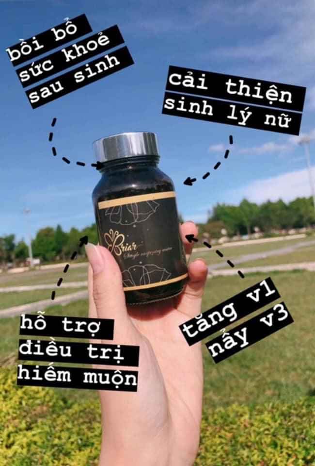 Thủy Mộc Đơn - Điều Huyết Briar