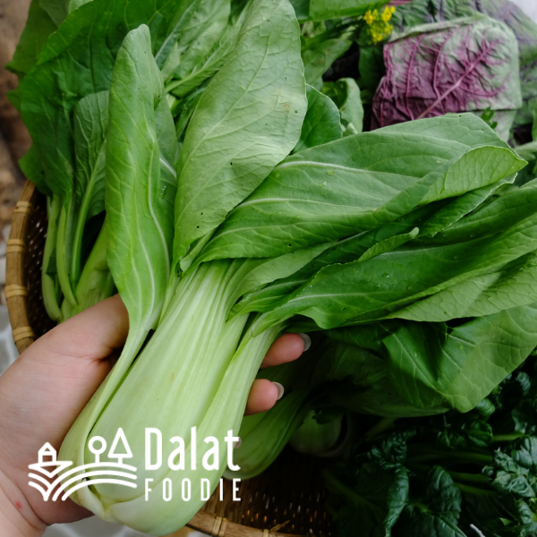 Cải Thìa 250G - [Giao hàng ngay tại TPHCM]