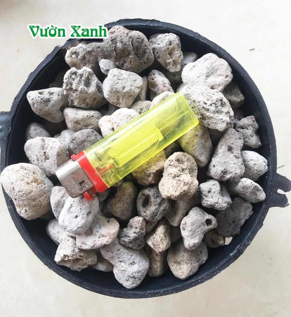 Đá Pumice (đá bọt núi lửa) size 1-2cm trồng lan thoát nước giữ ẩm tốt