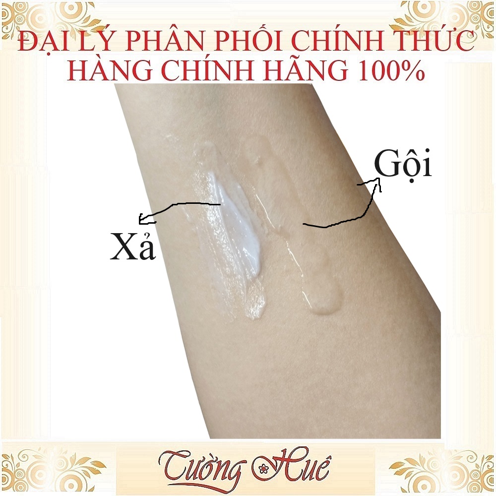 Cặp Gội Xả OGX Thick & Full - Biotin & Collagen - 385mlx2