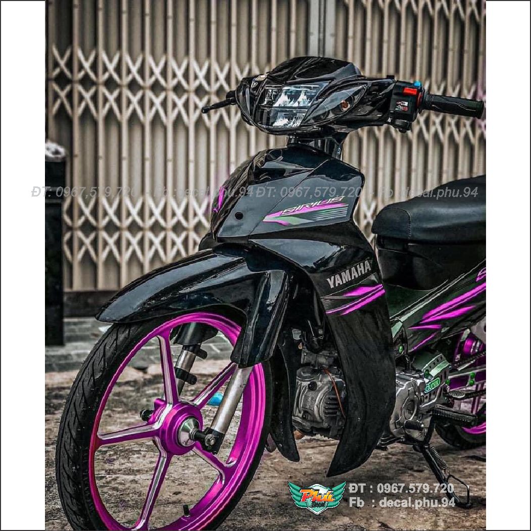 Tem Rời Sirius Đen tím