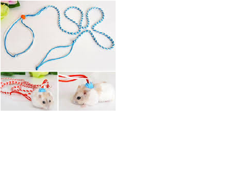 Dây dắt hamster nhiều màu