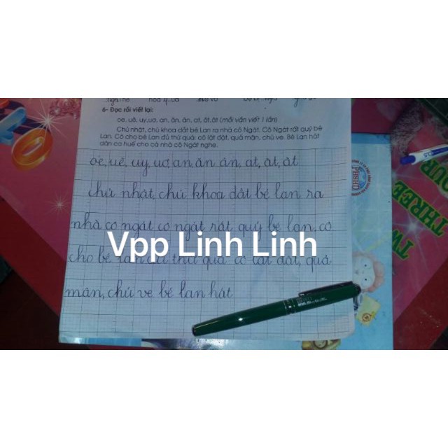 1 chiếc Bút máy Nét Hoa 2011