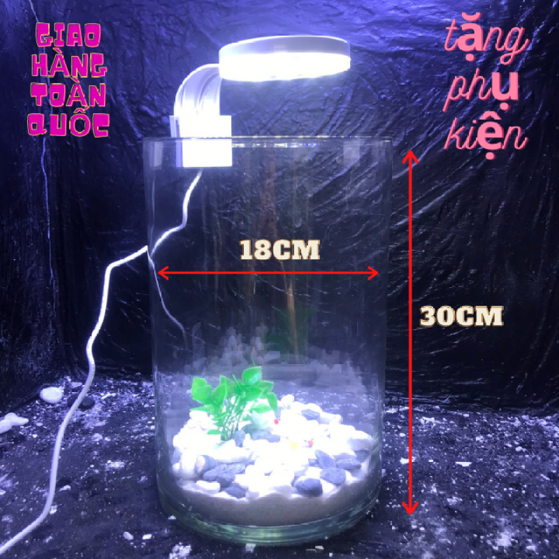 Bể cá mini để bàn kèm phụ kiện tiểu cảnh phân loại combo có hồ lọc đèn