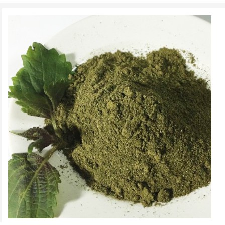 Bột tía tô nguyên chất [500G]
