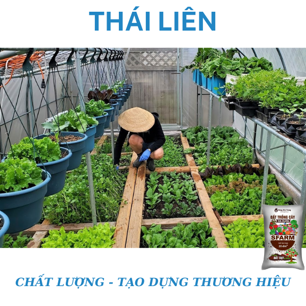 [Túi chiết 2kg] Đất trồng cây đa dụng Sfarm có chứa đất thịt tự nhiên