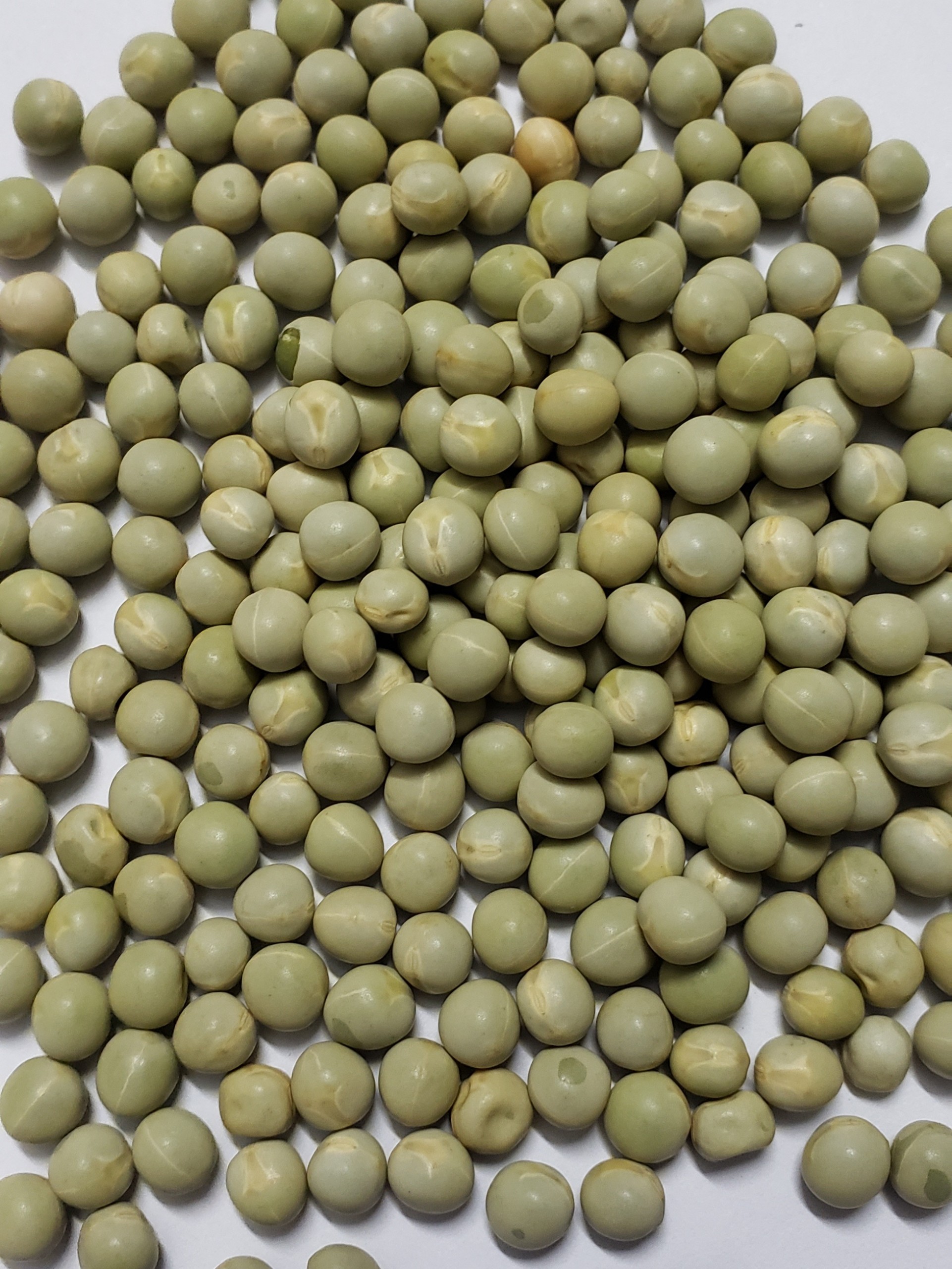 Đậu Hà Lan (Pea) khô - Nhập khẩu Mỹ - 500g