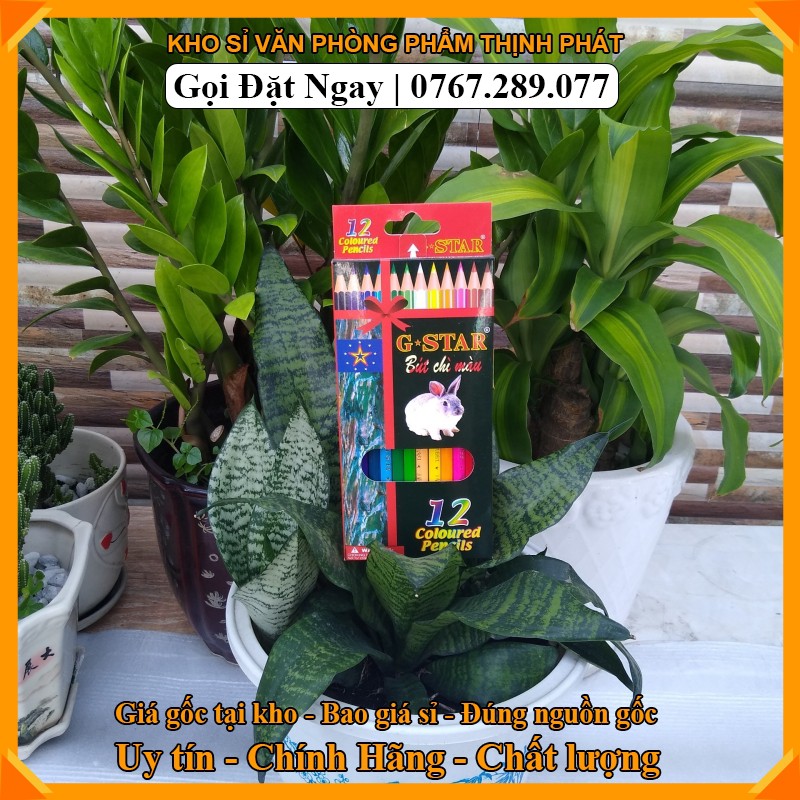 [HCM](Hàng cao cấp sẵn hàng giá sỉ)Bút chì màu gỗ 12 -18 -24 màu Gstar