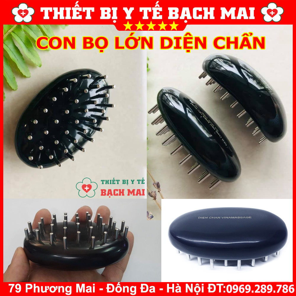 Con Bọ Lớn Diện Chẩn