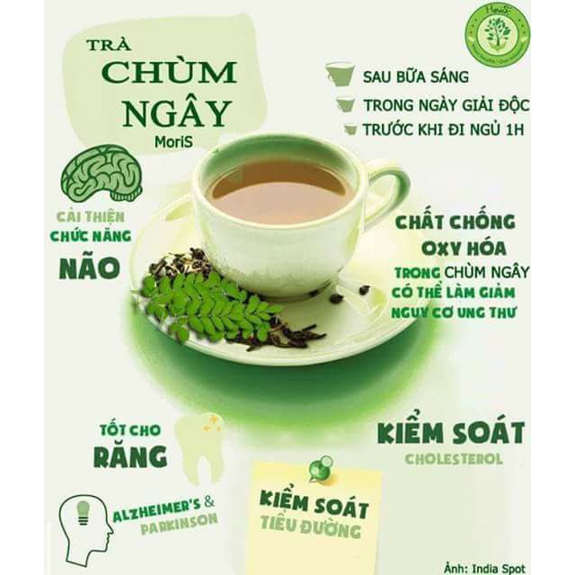 Trà Chùm Ngây Moris Túi Lọc Moris