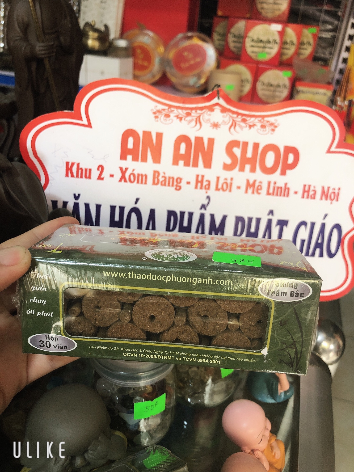 Trầm nụ ( THÔNG LẠC HƯƠNG)
