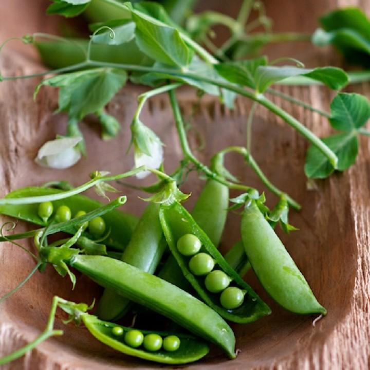 Hạt Giống Đậu Hà Lan (Lấy hạt) - 20Gr