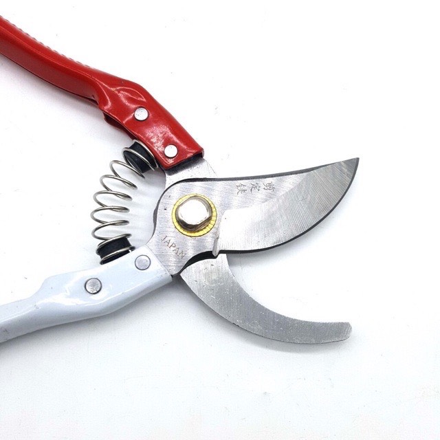 [HCM]Kéo cắt cành 200mm cán trắng đỏ