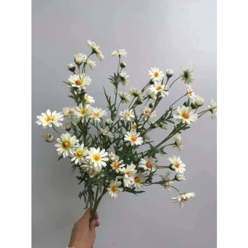 CÀNH CÚC HỌA MI - CÚC LA MÃ siêu đẹp (trắng, dài ~ 70cm, giống thật)