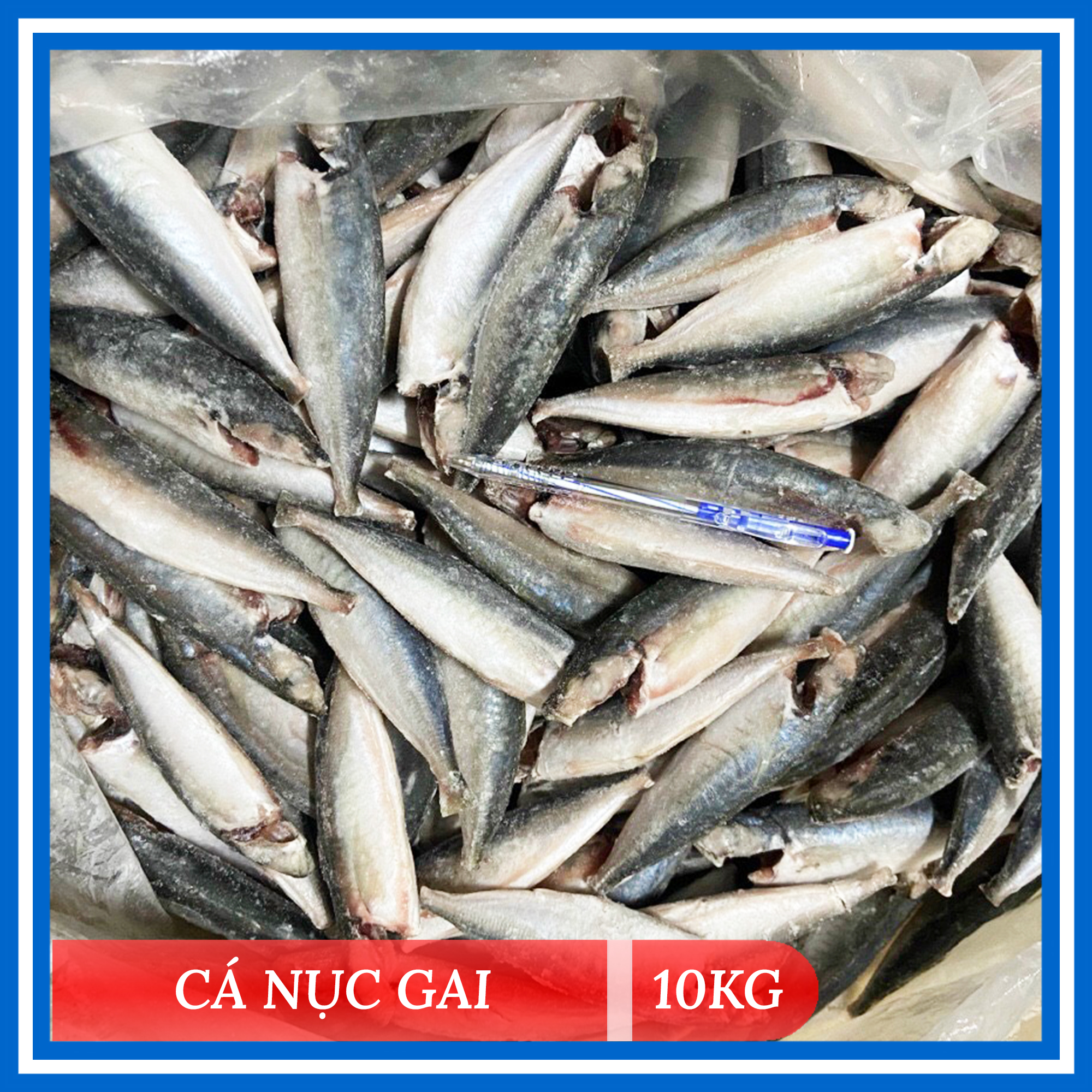 [HCM] Cá Nục Gai (1Kg/Túi) - SaiThanhFoods
