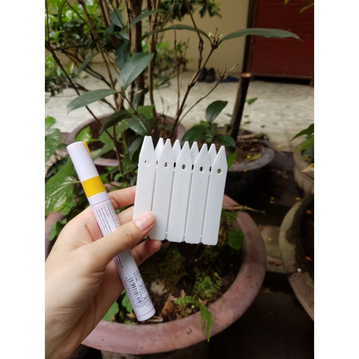 Set 100 thẻ nhựa cứng ghi tên hoa lan
