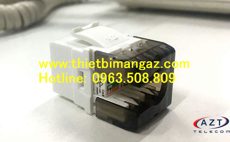 Nhân mạng âm tường Cat6 AMP COMMSCOPE chính hãng