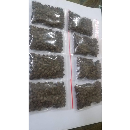 Gói 100 HẠT GIỐNG ĐU ĐỦ ĐỰC LÙN SIÊU HOA