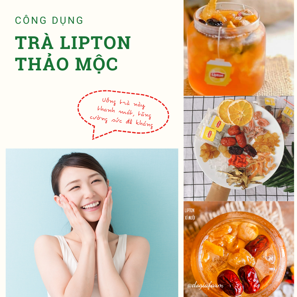 Trà lipton thảo mộc cam thảo xí muội (SET 10 gói)