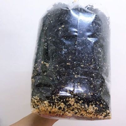 rong biển sấy tỏi mè