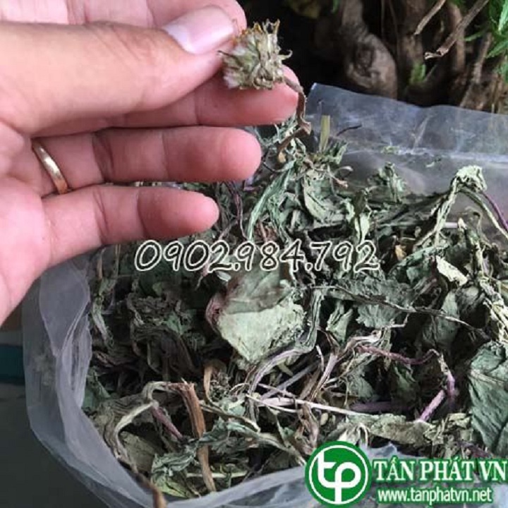 Bồ công anh khô 1kg