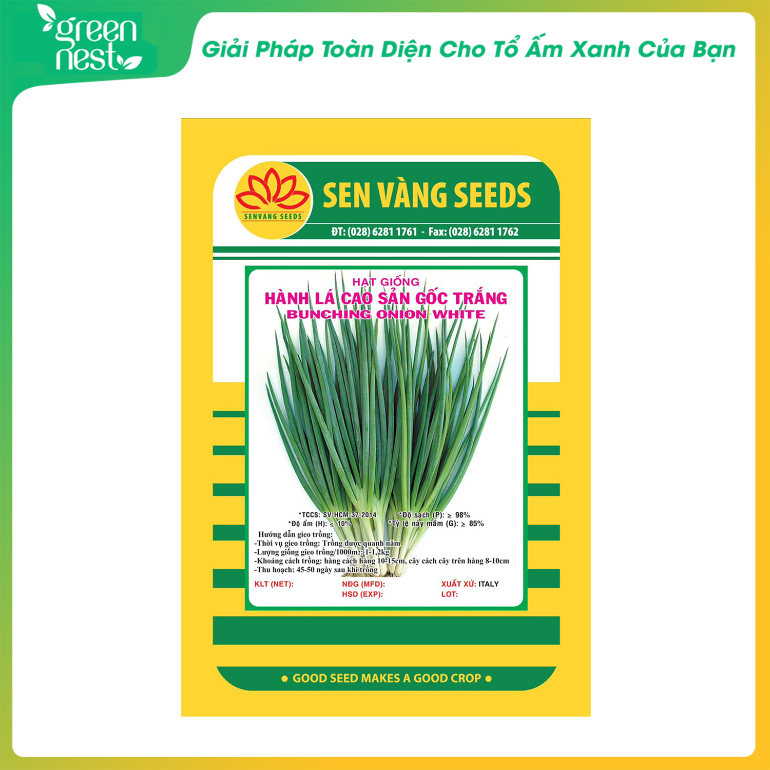 Hạt giống hành lá cao sản gốc trắng sen vàng - sinh trưởng mạnh,trồng quanh năm