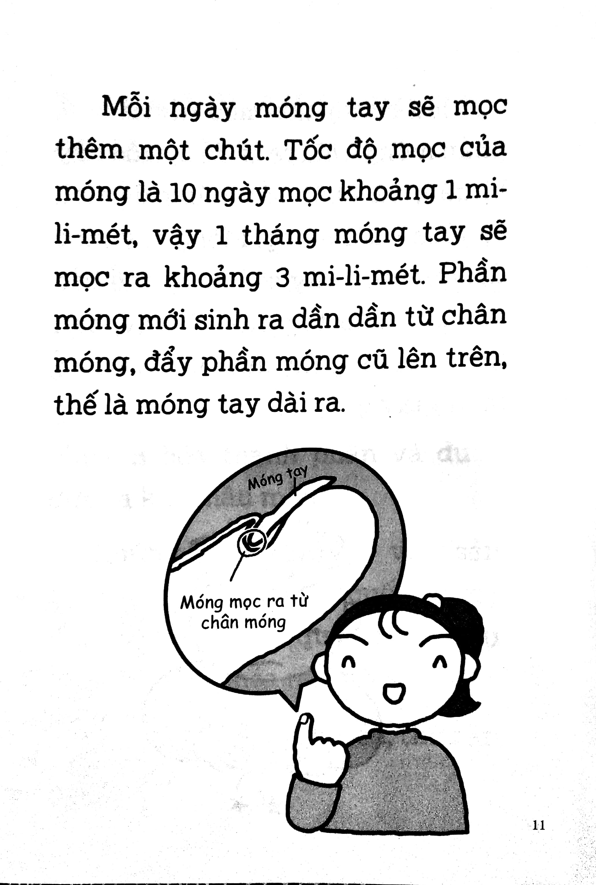 Fahasa - Thủ Thỉ Kiến Thức Lớp 2