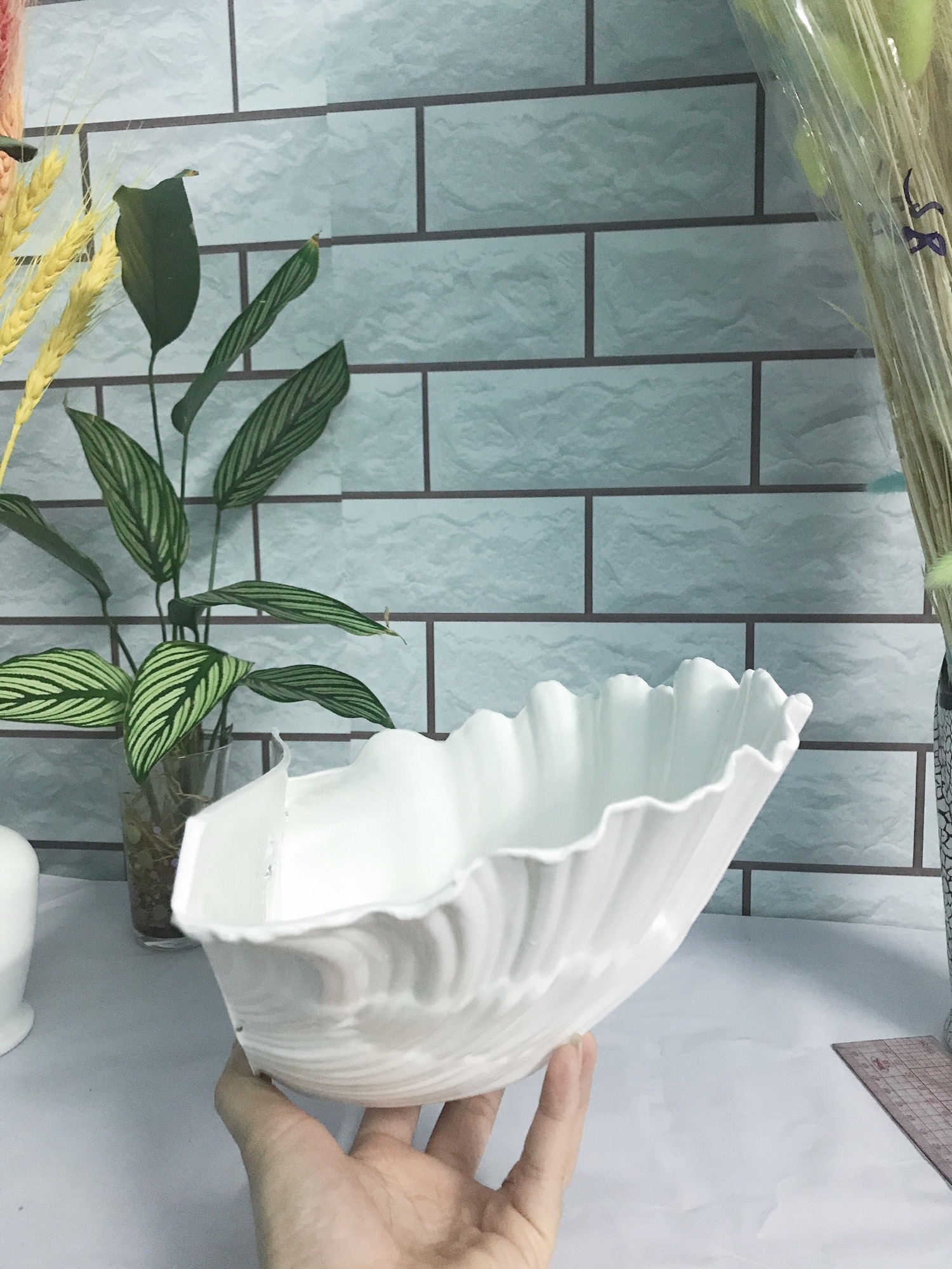Chậu ốp tường hình vỏ sò