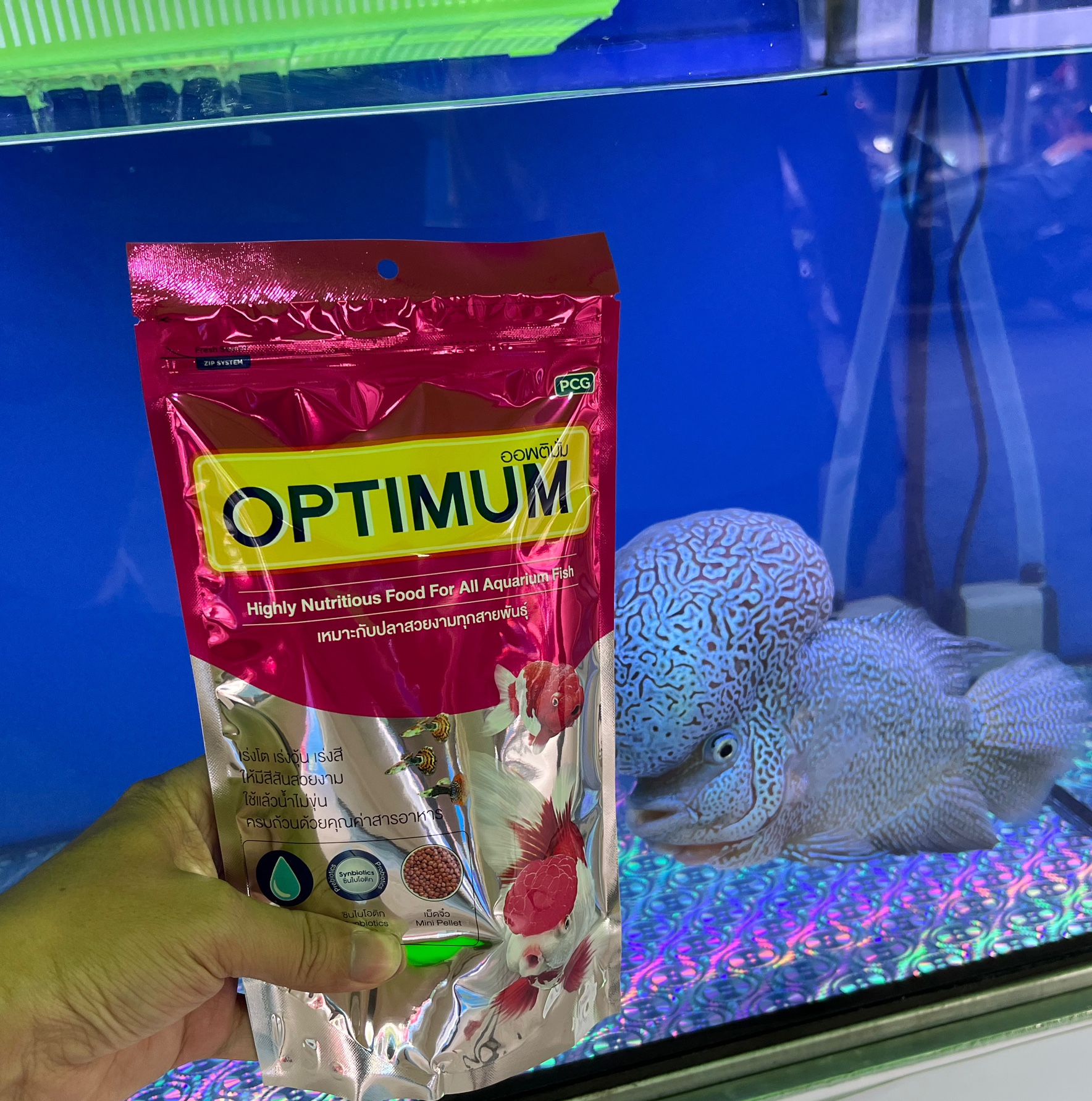 Thức ăn cho cá cảnh- OPTIMUM (Made inThailand) - (gói 20g-100g-200g)-cho cá vàng,cá cảnh, cá kiếm, ông tiên, Betta
