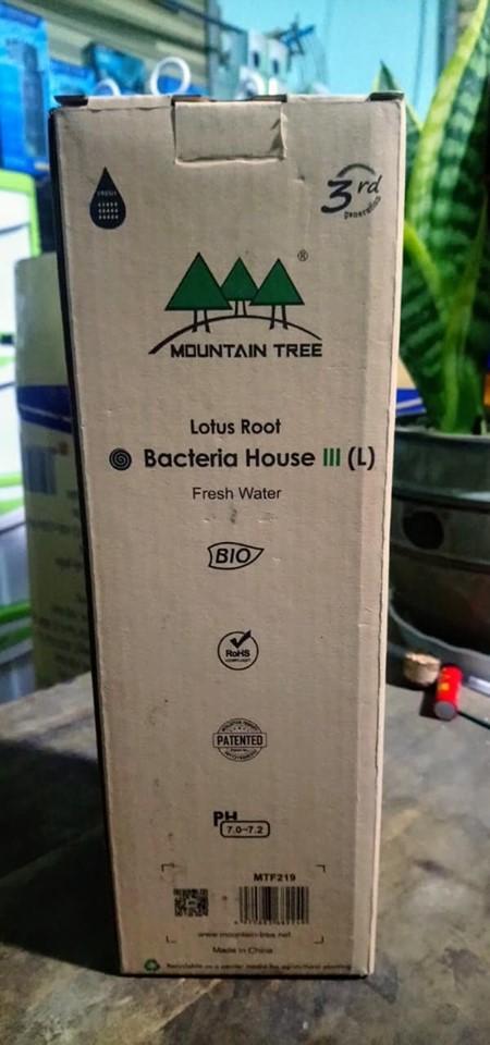 [HCM]Sứ củ sen soắn ốc thế hệ 3 (Bacteria House) Mountain tree Root 3