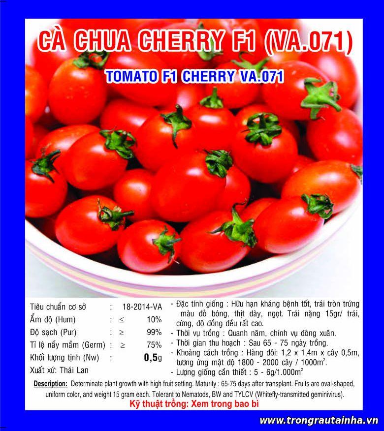 Hạt Giống Cà Chua Bi Đỏ