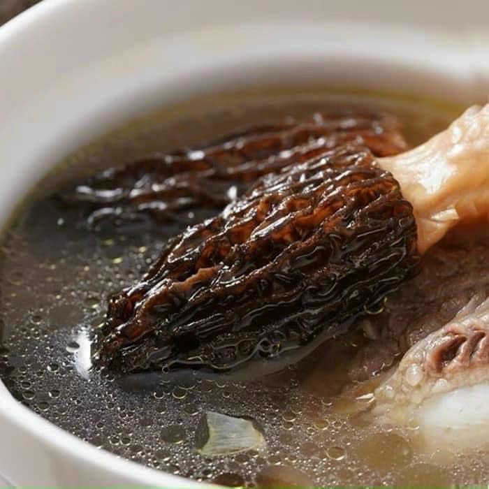 Nấm Bụng Dê