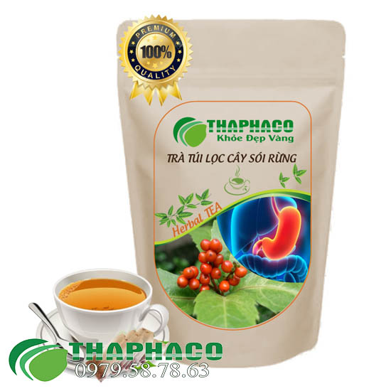 Trà Túi Lọc Cây Sói Rừng Thaphaco