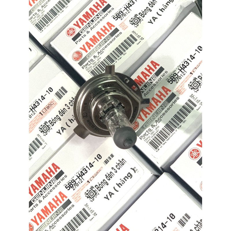 Bóng Đèn Pha 3 Chân Chính Hãng Yamaha